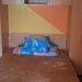Colentina Spital